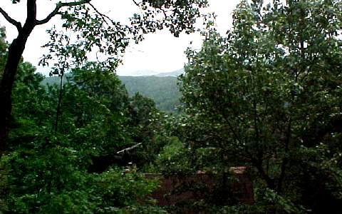 Eagle Rock Road Cherry Log, GA 30522 - Photo 1 of 1 Main View