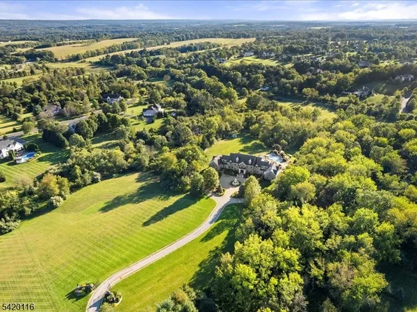 $4,000,000 | 406 Caruso Court, Neshanic Station, NJ 08853