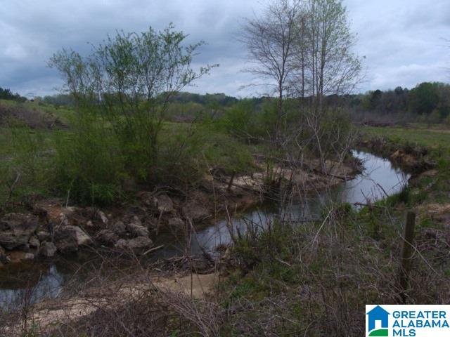 406 Caffe Ridge, Unit PARCEL Woodstock, AL 35188 - Photo 27 of 30