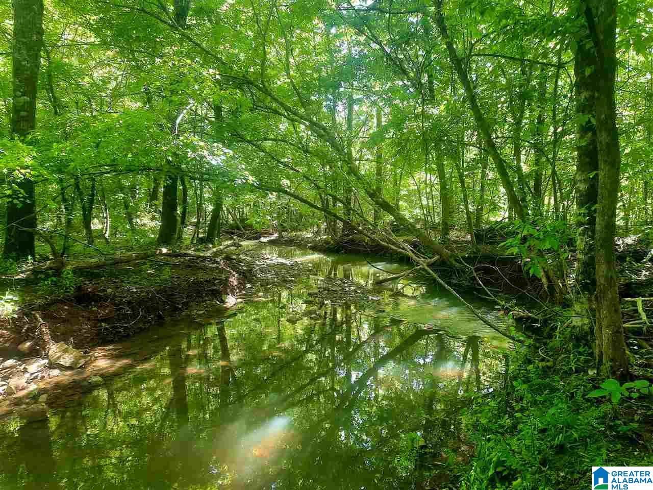 0 Mountain Gap Road, Unit 27 ACRES Cleveland, AL 35049 - Photo 4 of 7