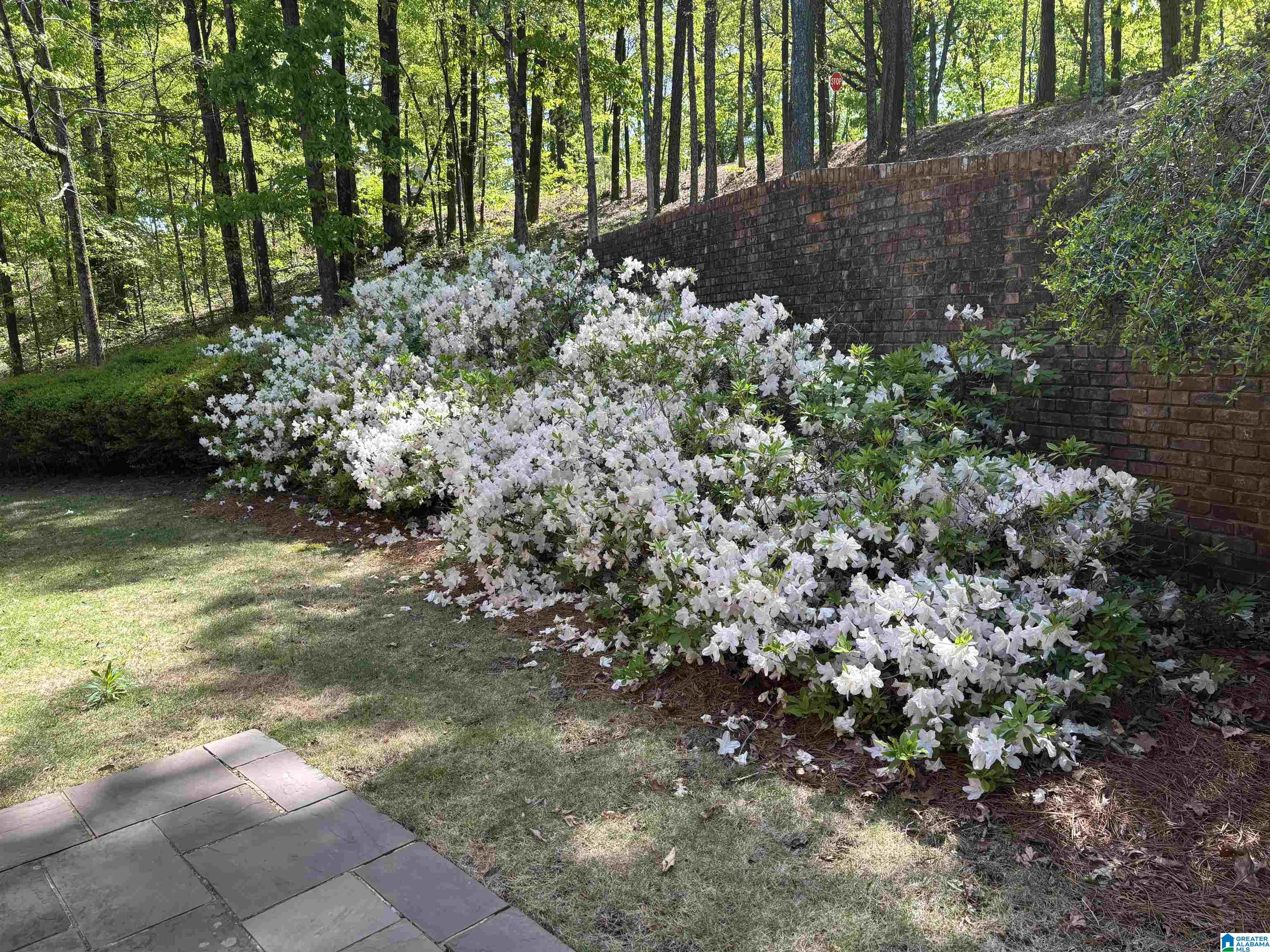 40 Chert Road Oneonta, AL 35121 - Photo 60 of 62