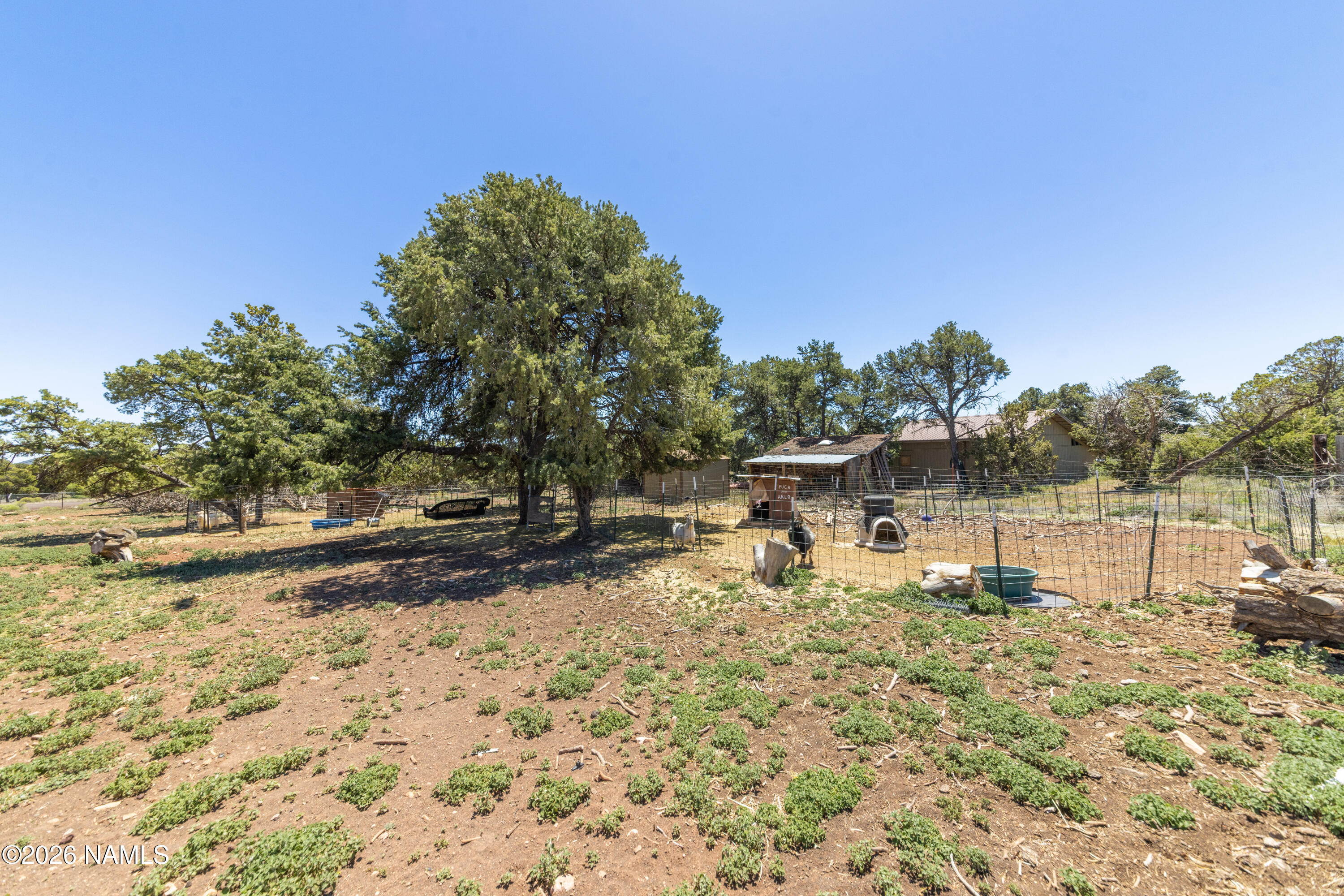 6230 Columbine Road Flagstaff, AZ 86004 - Photo 35 of 42 6230_Columbine-29