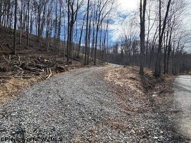Tbd Green Valley Road Bridgeport, WV 26330 - Photo 18 of 19 Gallery Image 18