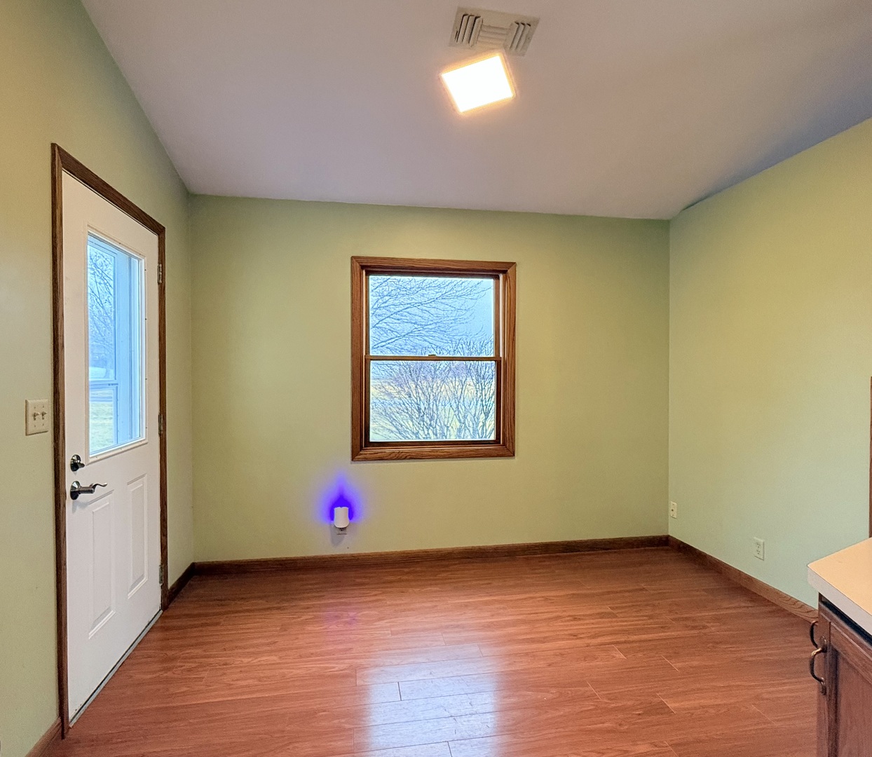 101 East 10th Street Gridley, IL 61744 - Photo 8 of 17 an empty room with wooden floor and windows