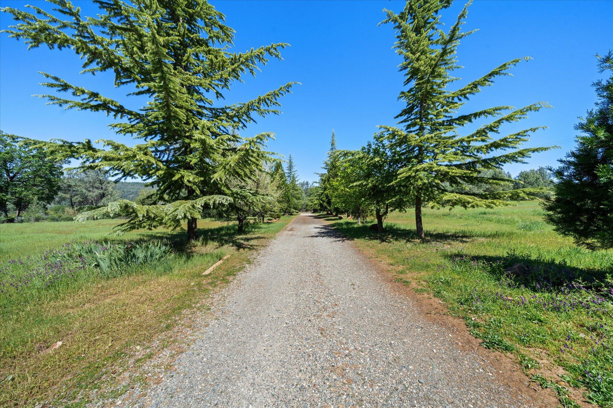 32135 Rock Creek Road Manton, CA 96059 - Photo 57 of 72 58-BiggerFlow Real Estate Media-58