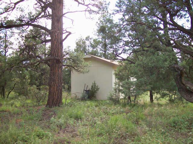 2179 Rimview Trail Overgaard, AZ 85933 - Photo 5 of 6 Additional Photo