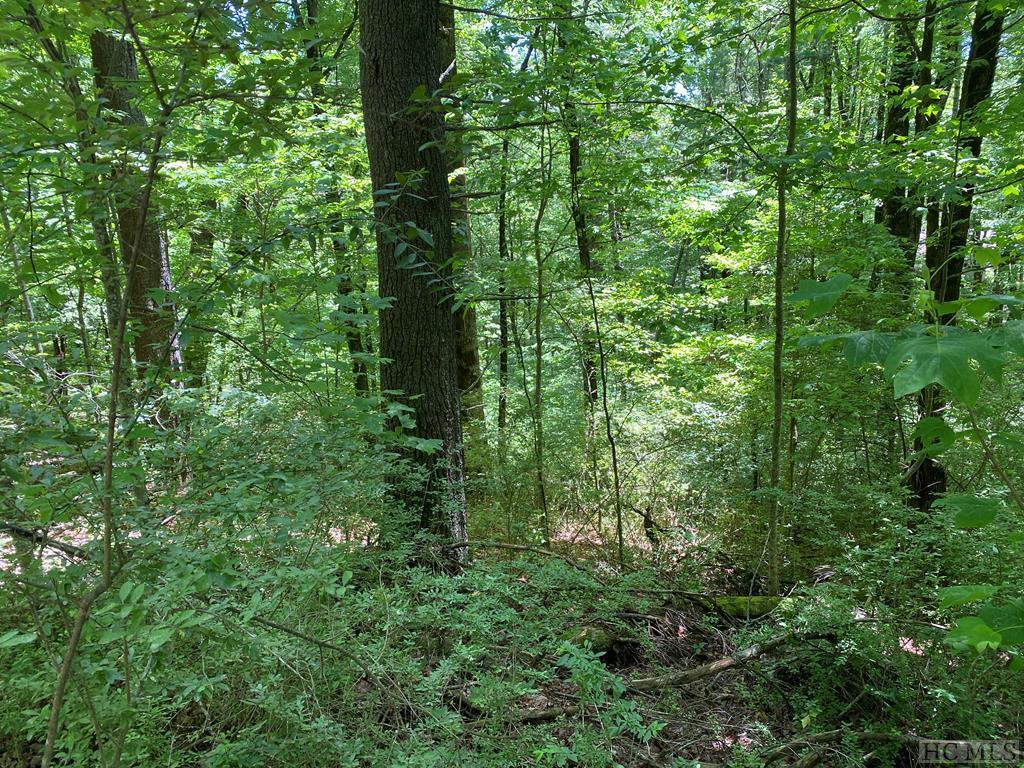 Tbd Harbison Orchard Road Highlands, NC 28741 - Photo 1 of 8 Gallery Image 1