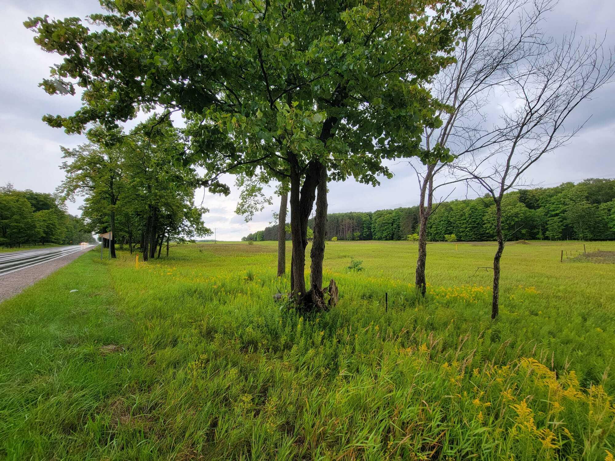 Oley Lake Road Gaylord, MI 49735 - Photo 10 of 11 Gallery Image 10