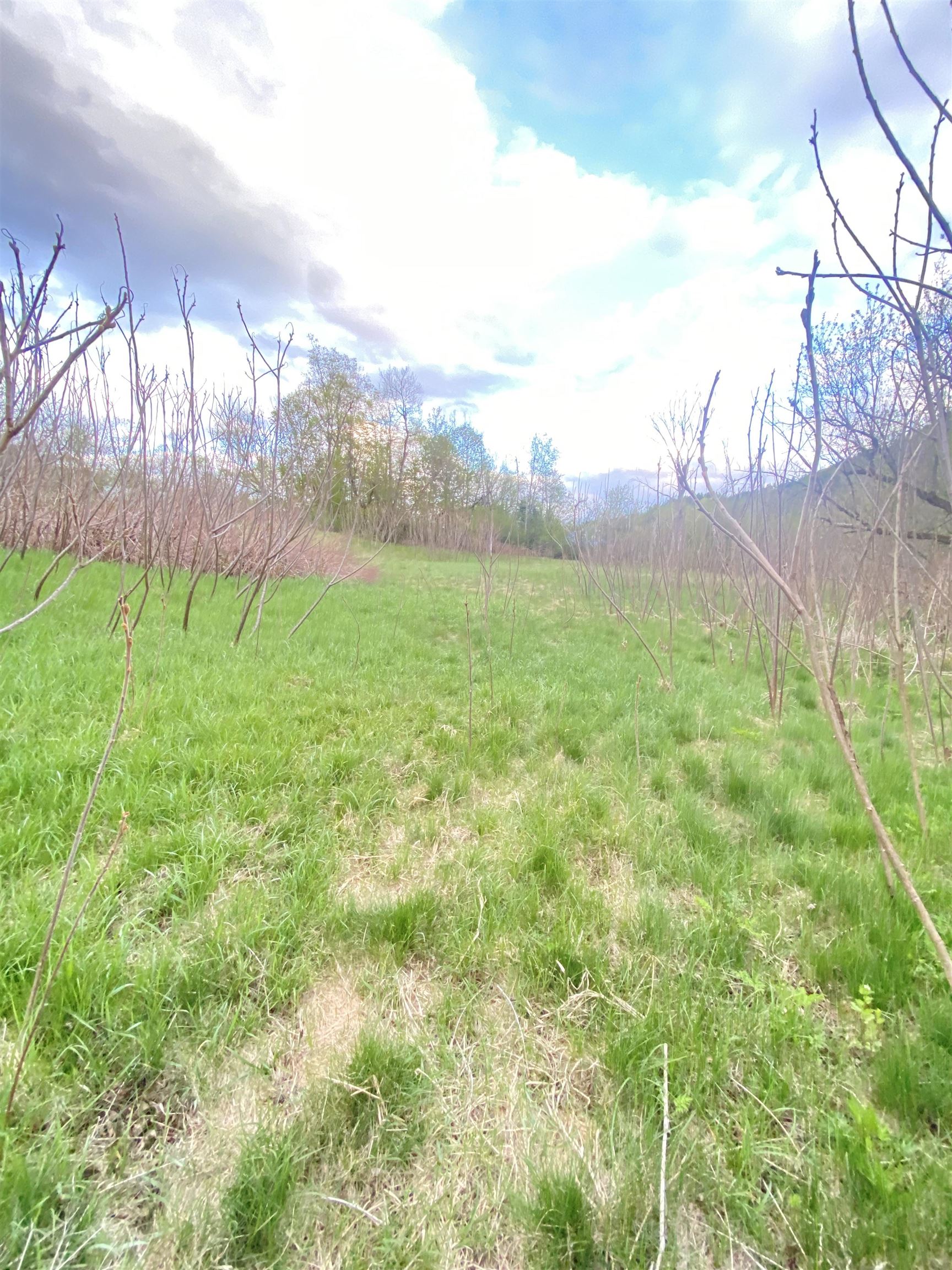 2095 Highway 14 Sharon, VT 05065 - Photo 4 of 19