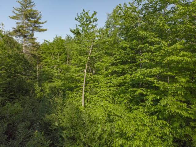 Tbd Tbd Buzzle Road Acton, ME 04001 - Photo 5 of 8 5