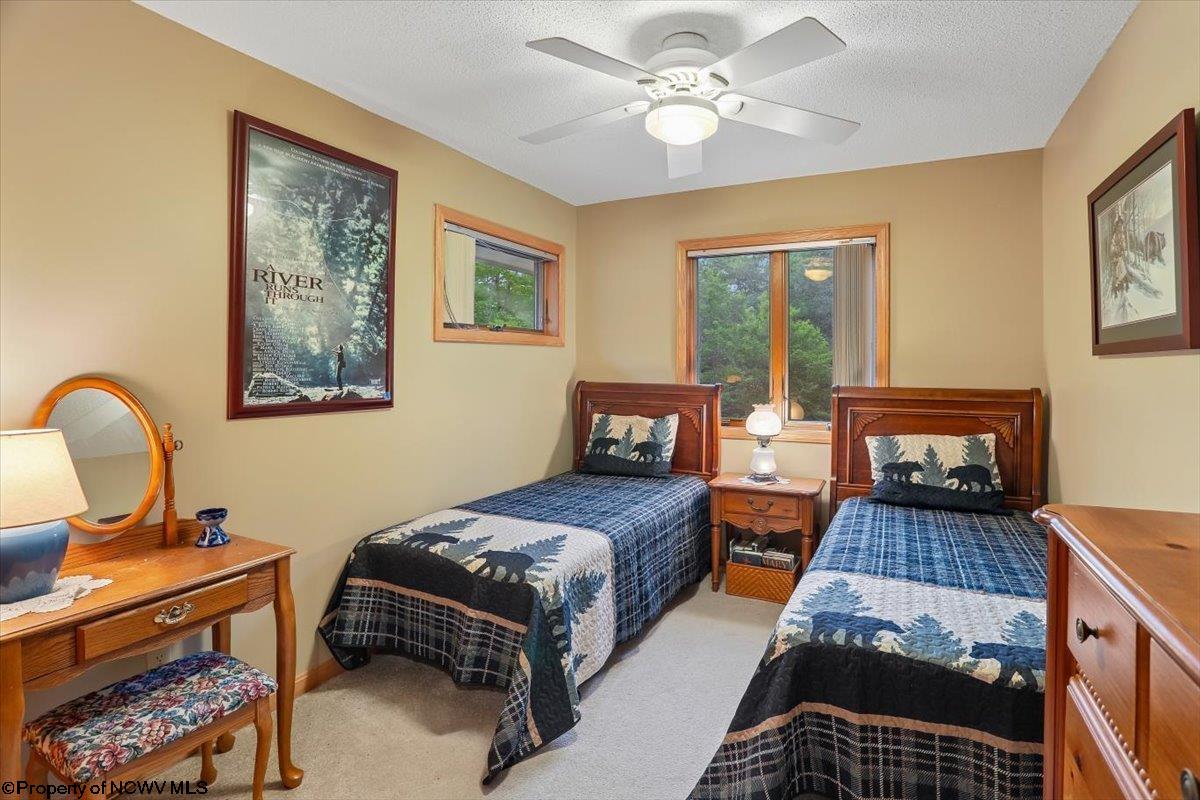 2256 Cabin Mountain Road Davis, WV 26260 - Photo 23 of 43 Gallery Image 23