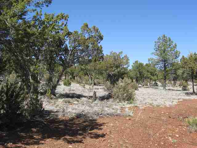 2328 Highway 260 Overgaard, AZ 85933 - Photo 2 of 9