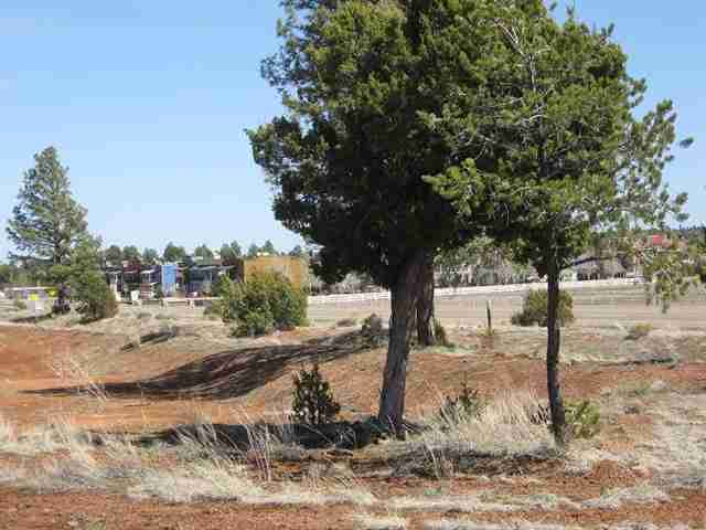 2328 Highway 260 Overgaard, AZ 85933 - Photo 3 of 9