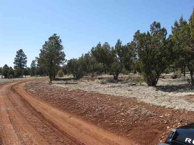 2328 Highway 260 Overgaard, AZ 85933 - Photo 4 of 9