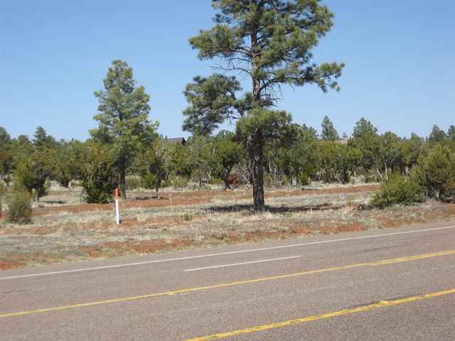 2328 Highway 260 Overgaard, AZ 85933 - Photo 5 of 9