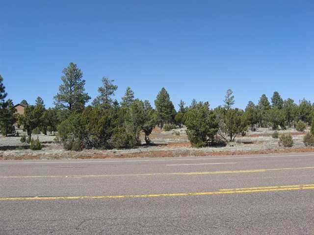 2328 Highway 260 Overgaard, AZ 85933 - Photo 6 of 9