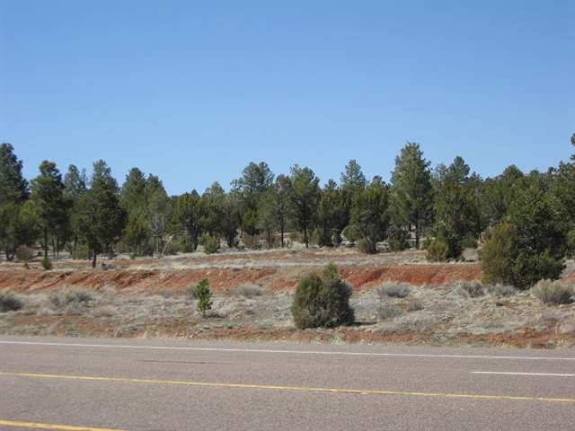 2328 Highway 260 Overgaard, AZ 85933 - Photo 7 of 9