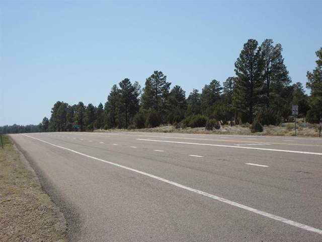 2328 Highway 260 Overgaard, AZ 85933 - Photo 8 of 9