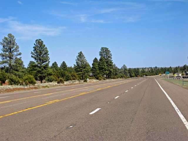 2328 Highway 260 Overgaard, AZ 85933 - Photo 9 of 9