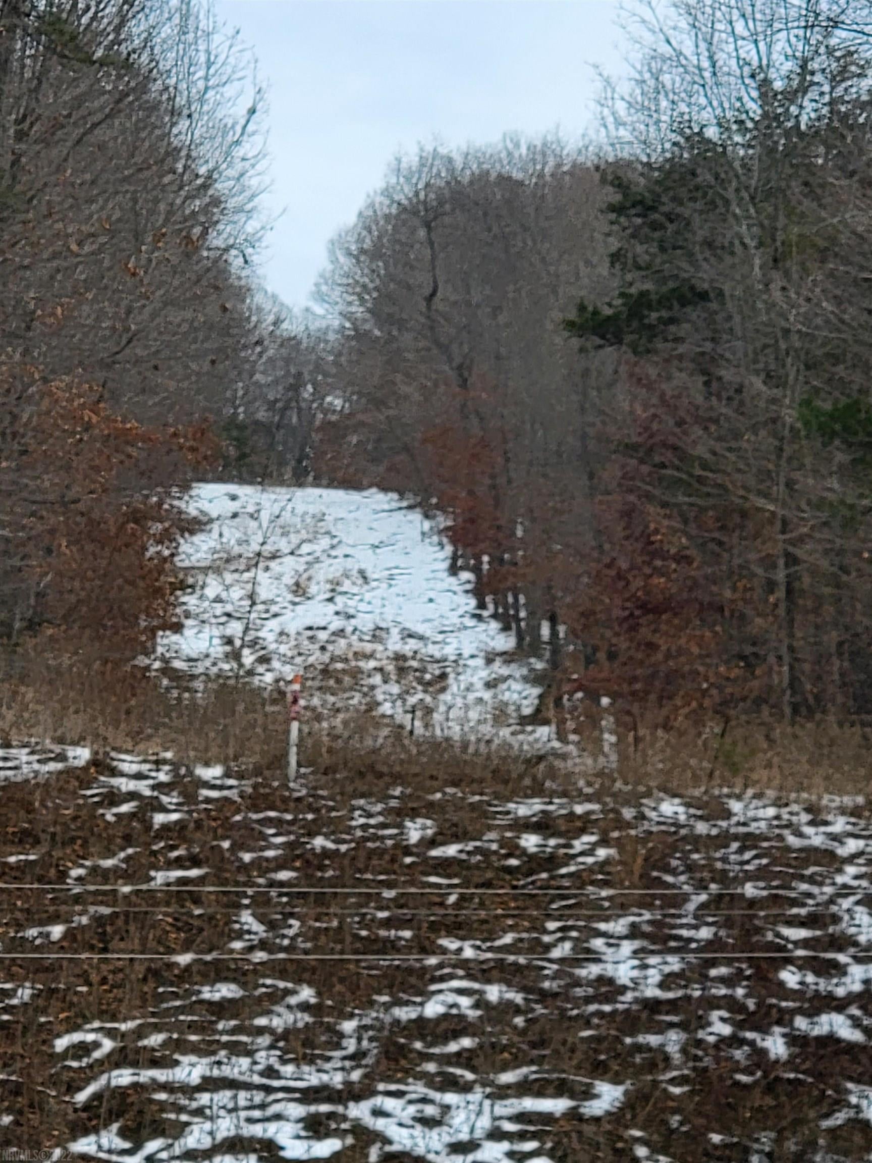 Tbd Brake Road Elliston, VA 24087 - Photo 4 of 20 Gallery Image 4