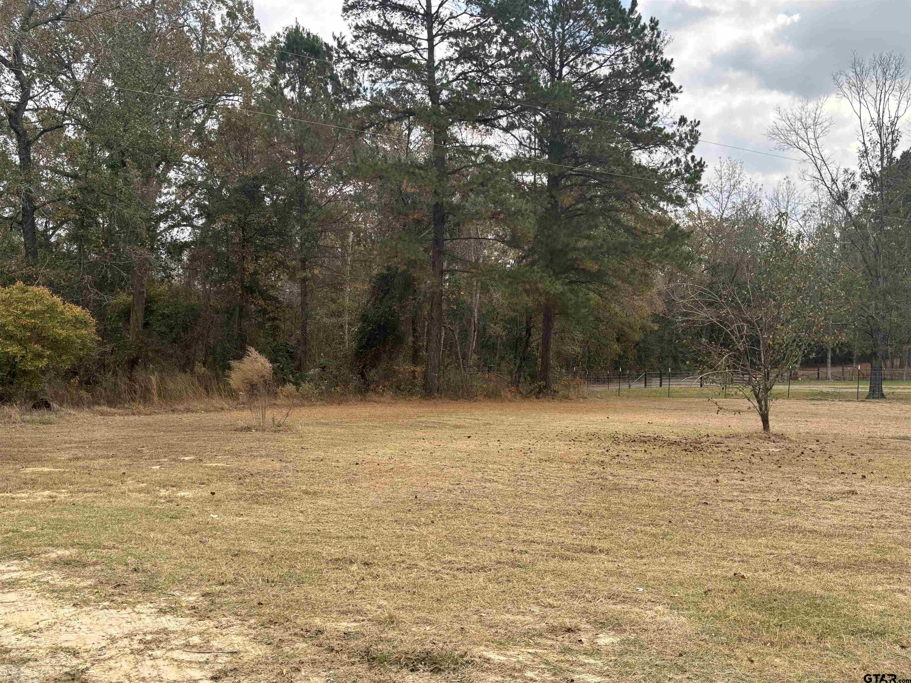 8123 Cherokee Trace Gilmer, TX 75644 - Photo 26 of 26 a view of a lake view