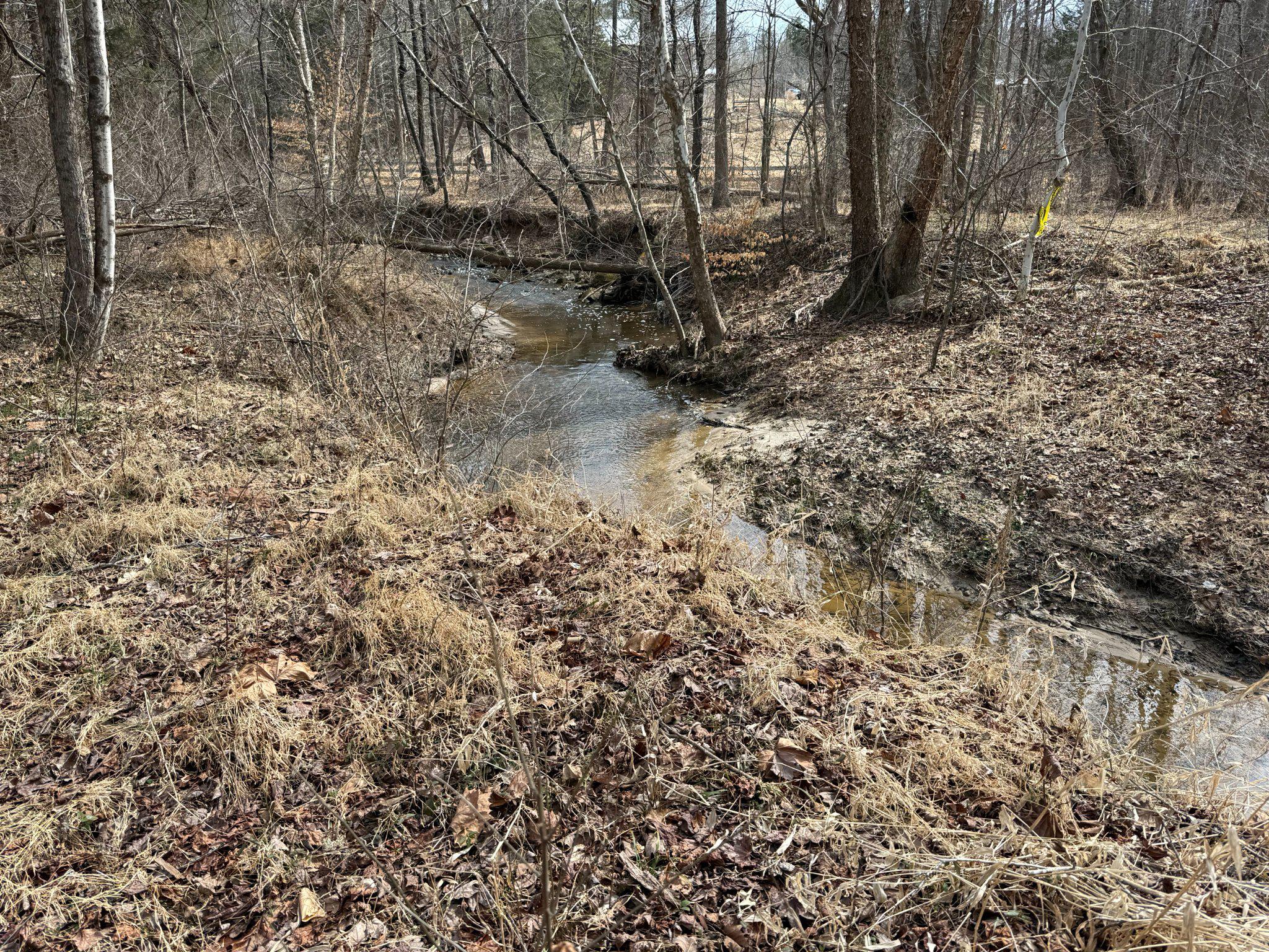 575 Perkins Road Kents Store, VA 23084 - Photo 86 of 95 Trails