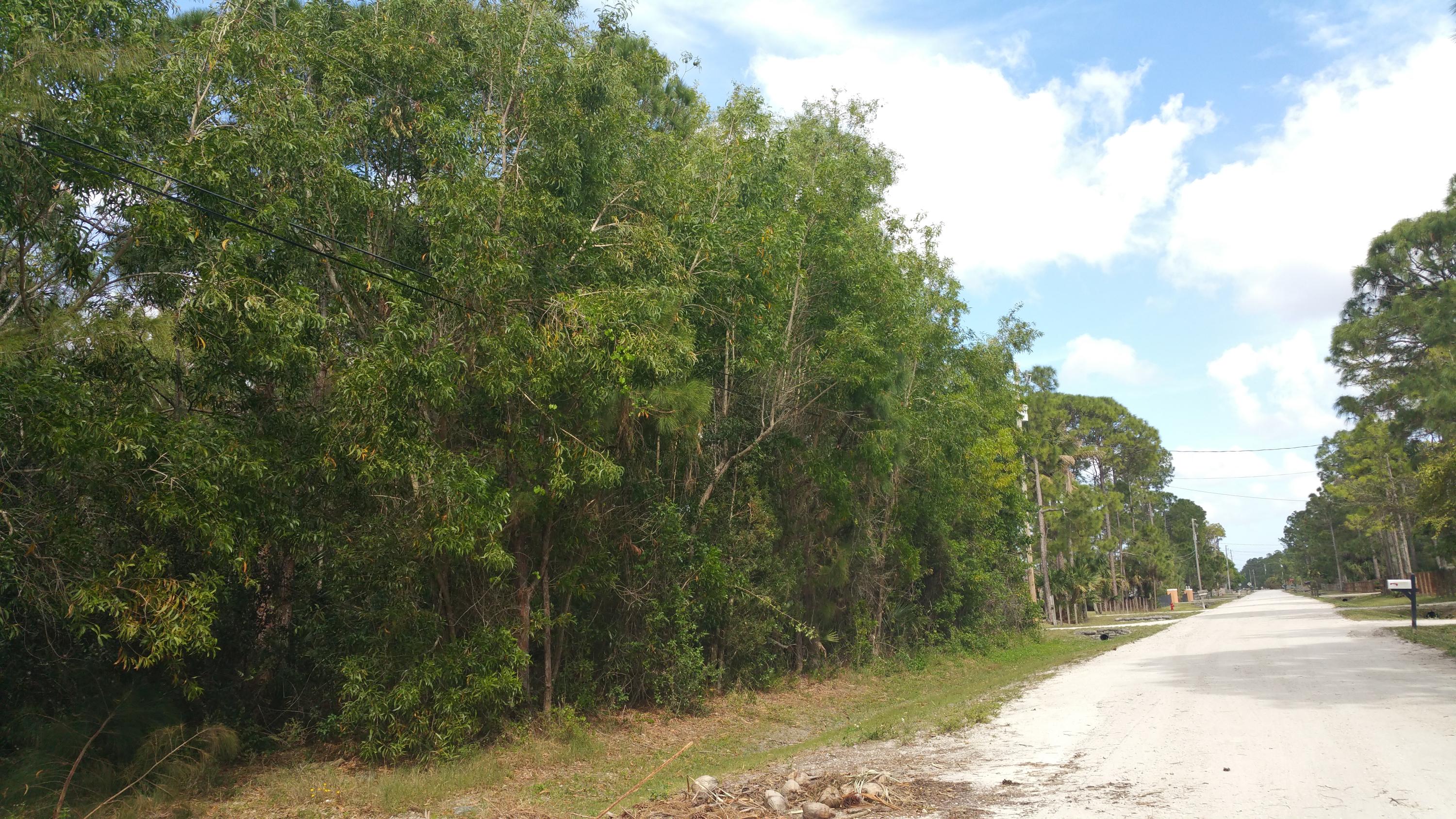 Xx 93rd Road North Loxahatchee, FL 33470 - Photo 2 of 14 20160311_144213