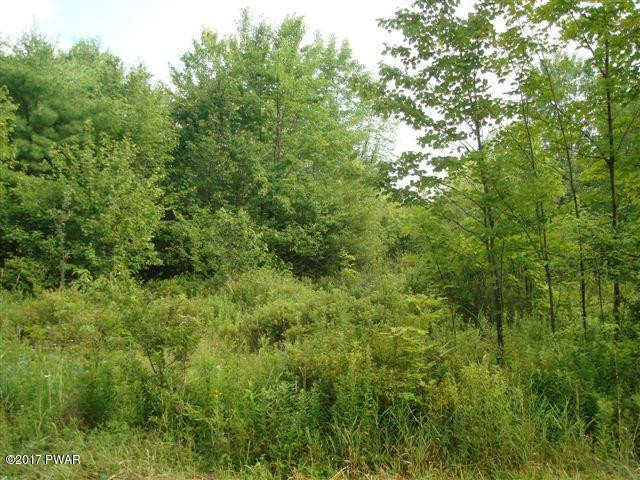 255 North Smith Road Waymart, PA 18472 - Photo 1 of 8