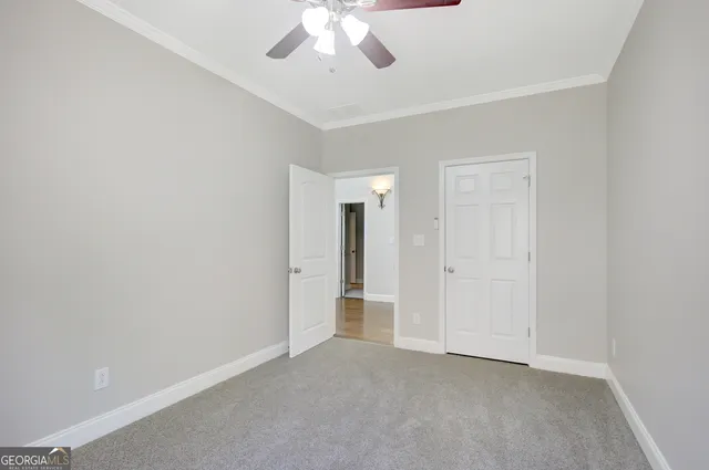 a view of a garden with a tree