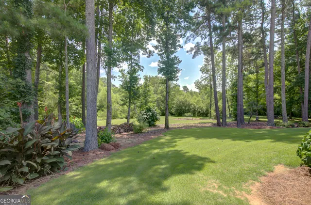 a view of a swimming pool with an outdoor seating and a garden