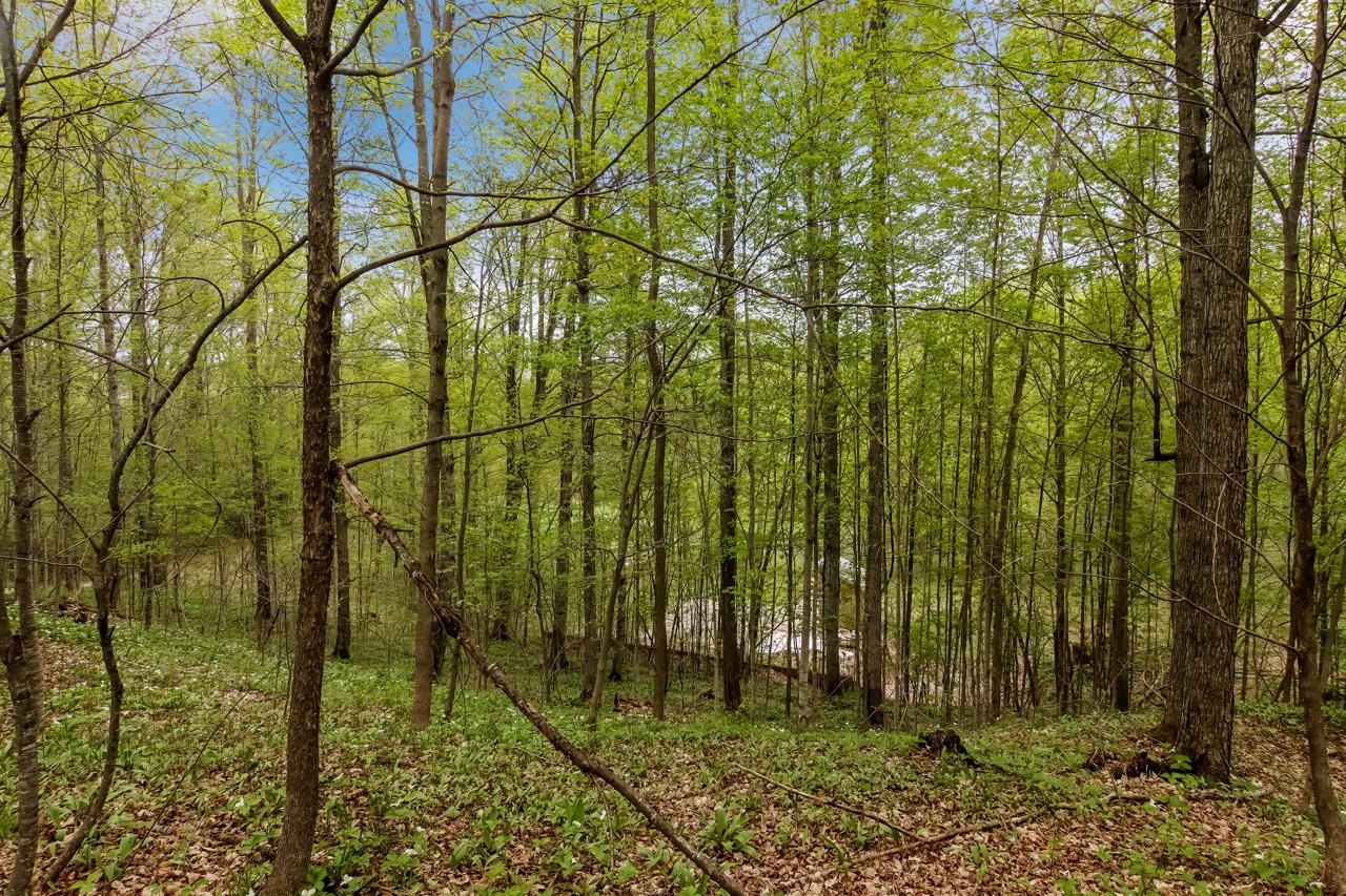1555 North Haze Road Beulah, MI 49617 - Photo 10 of 15 Gallery Image 10