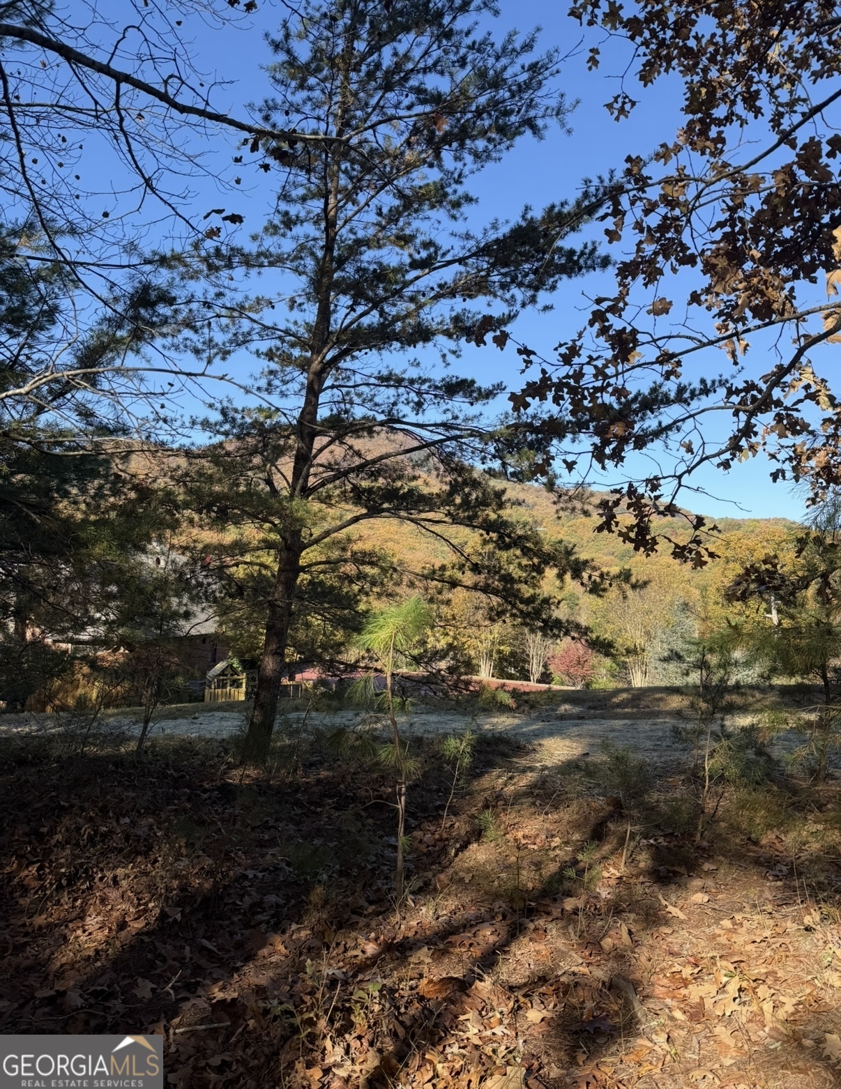 0 Duncan Bridge Road Cleveland, GA 30528 - Photo 11 of 11 a view of outdoor space
