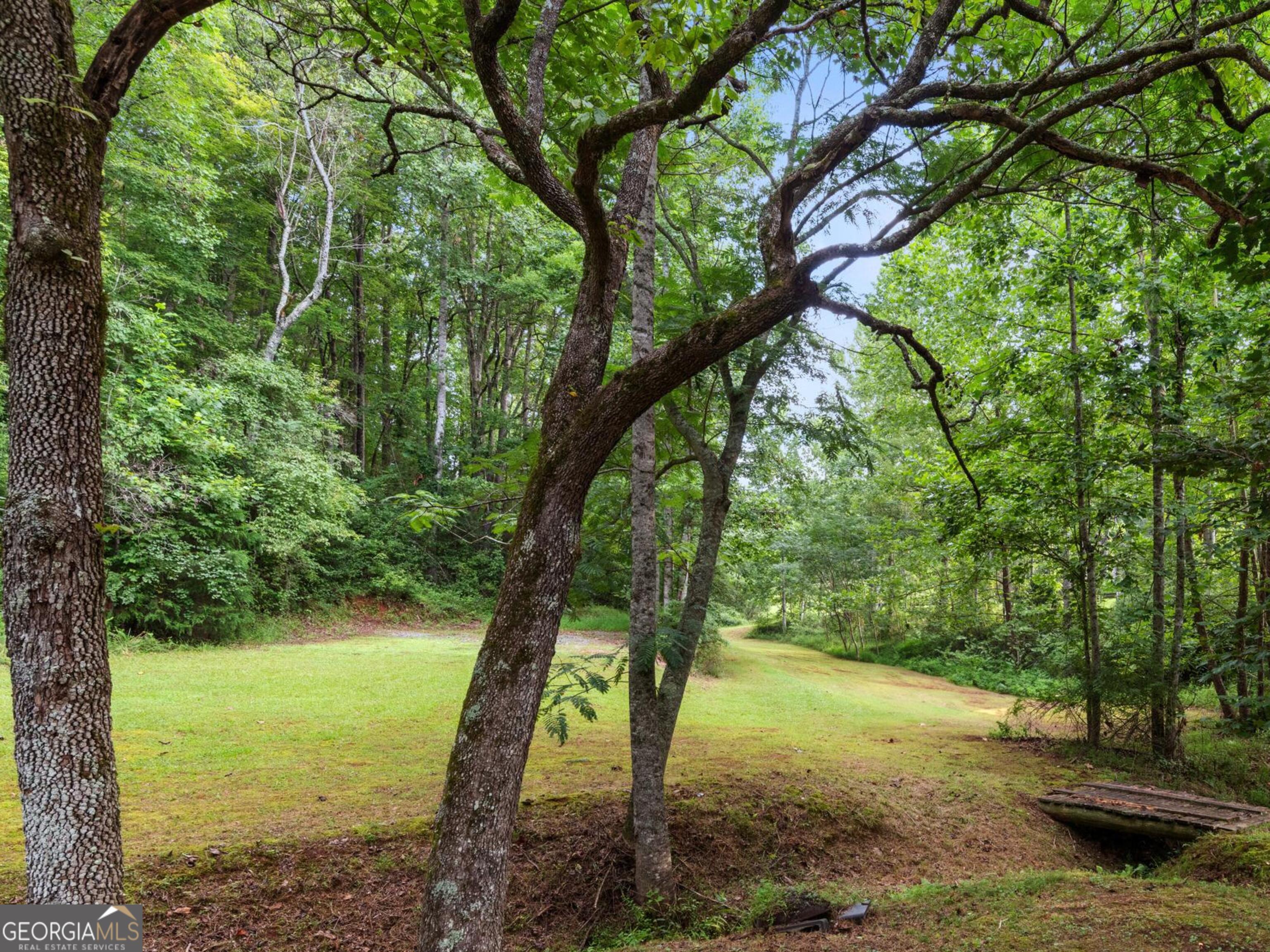 0 Duncan Bridge Road Cleveland, GA 30528 - Photo 3 of 11 a backyard of a house with lots of green space