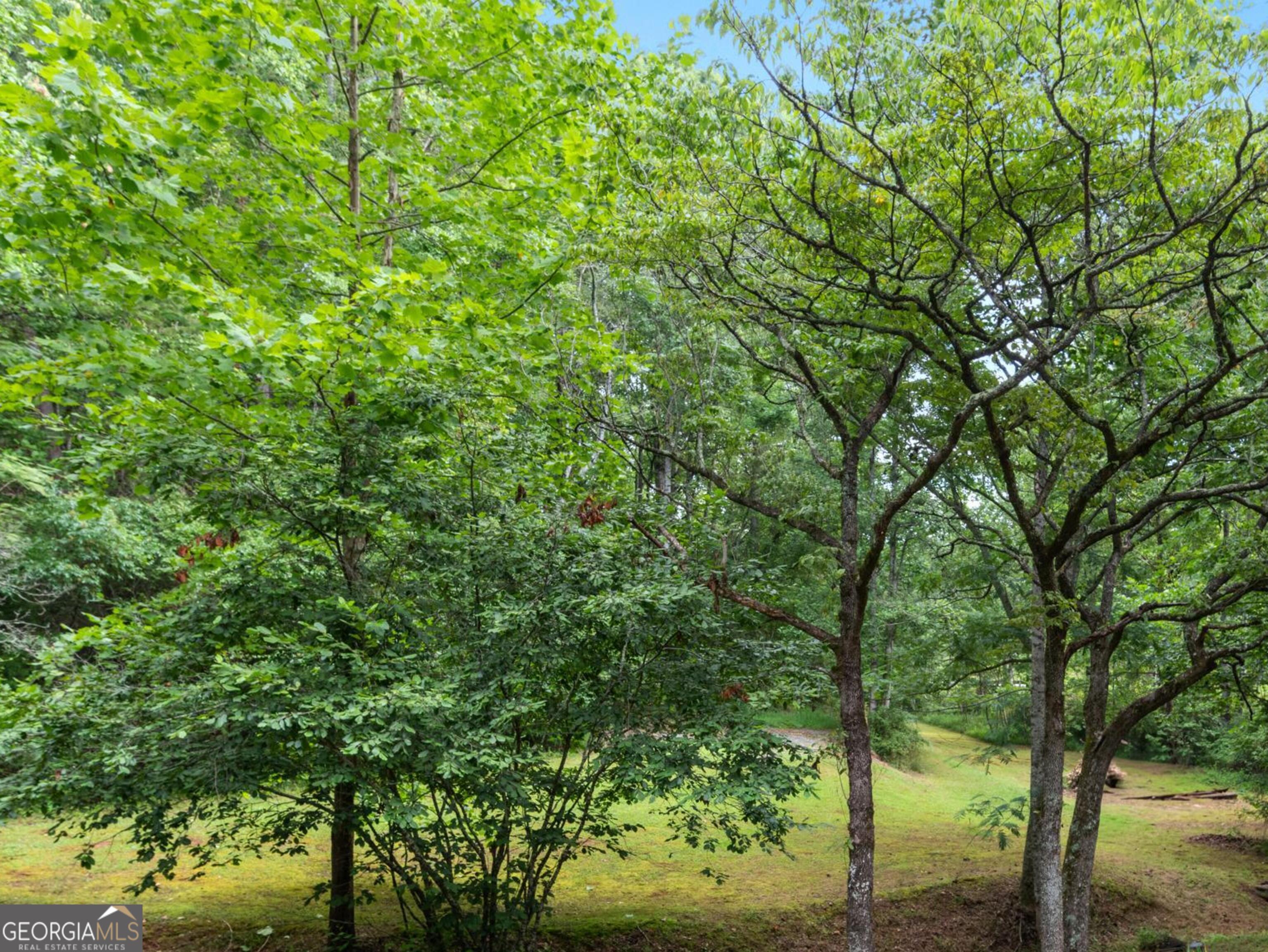 0 Duncan Bridge Road Cleveland, GA 30528 - Photo 4 of 11 a view of a yard