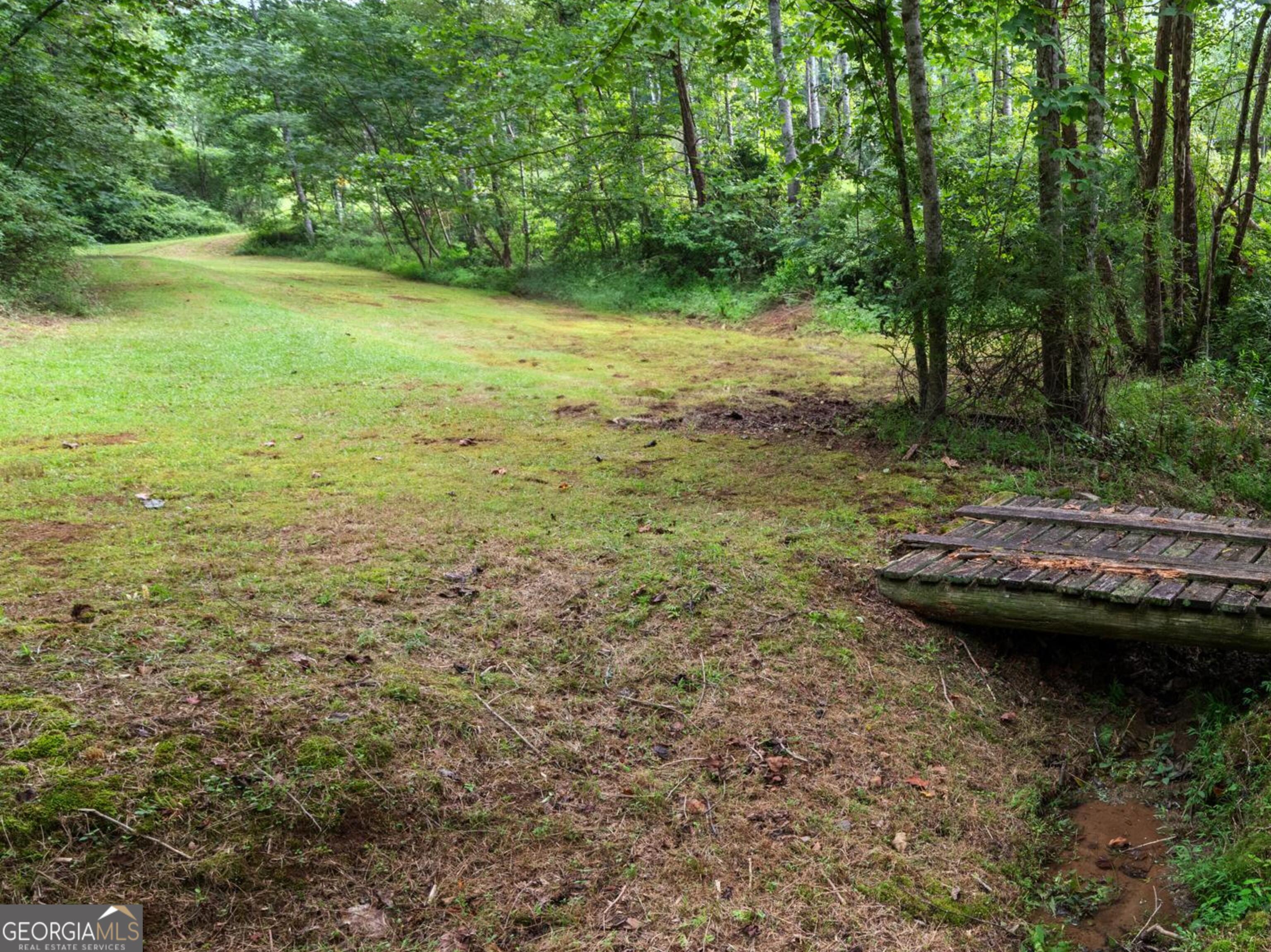0 Duncan Bridge Road Cleveland, GA 30528 - Photo 5 of 11 a view of a lake with lots of trees