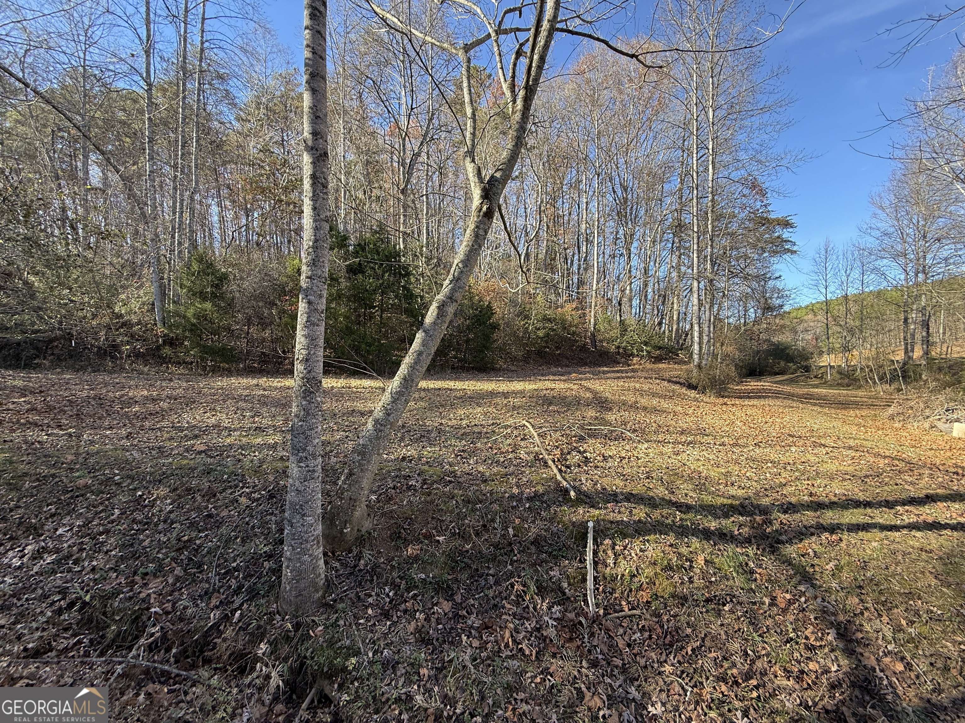 0 Duncan Bridge Road Cleveland, GA 30528 - Photo 6 of 11 a backyard of a house with lots of green space