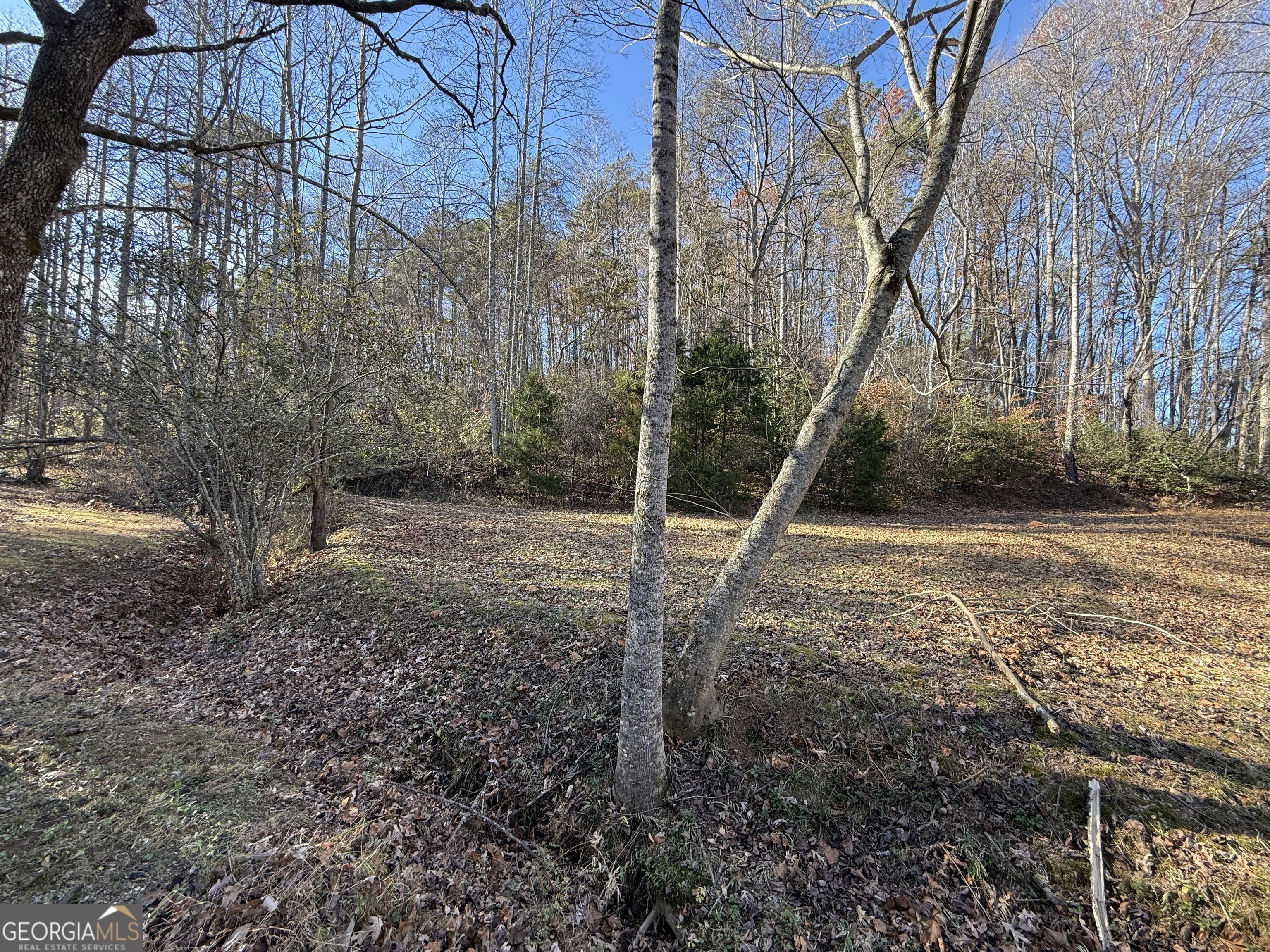 0 Duncan Bridge Road Cleveland, GA 30528 - Photo 7 of 11 a backyard of a house with lots of green space