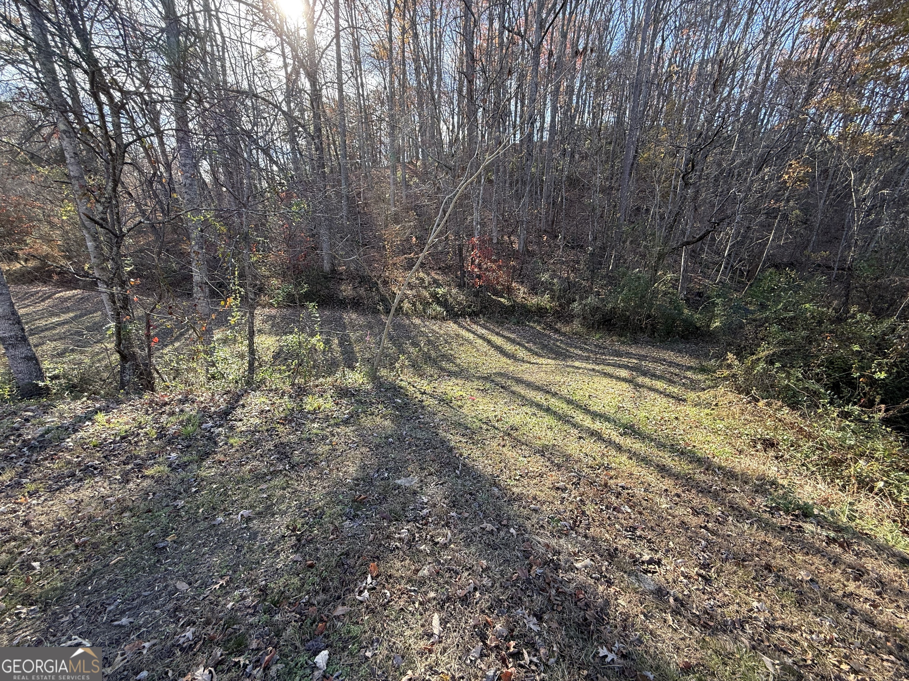0 Duncan Bridge Road Cleveland, GA 30528 - Photo 8 of 11 a view of a yard with large trees