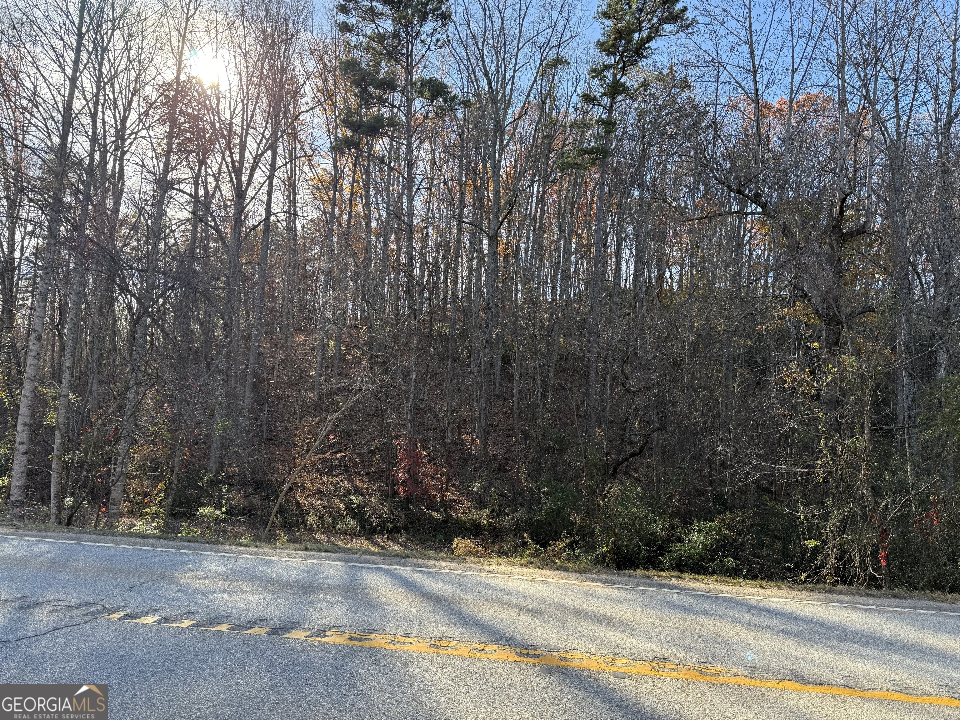 0 Duncan Bridge Road Cleveland, GA 30528 - Photo 10 of 11