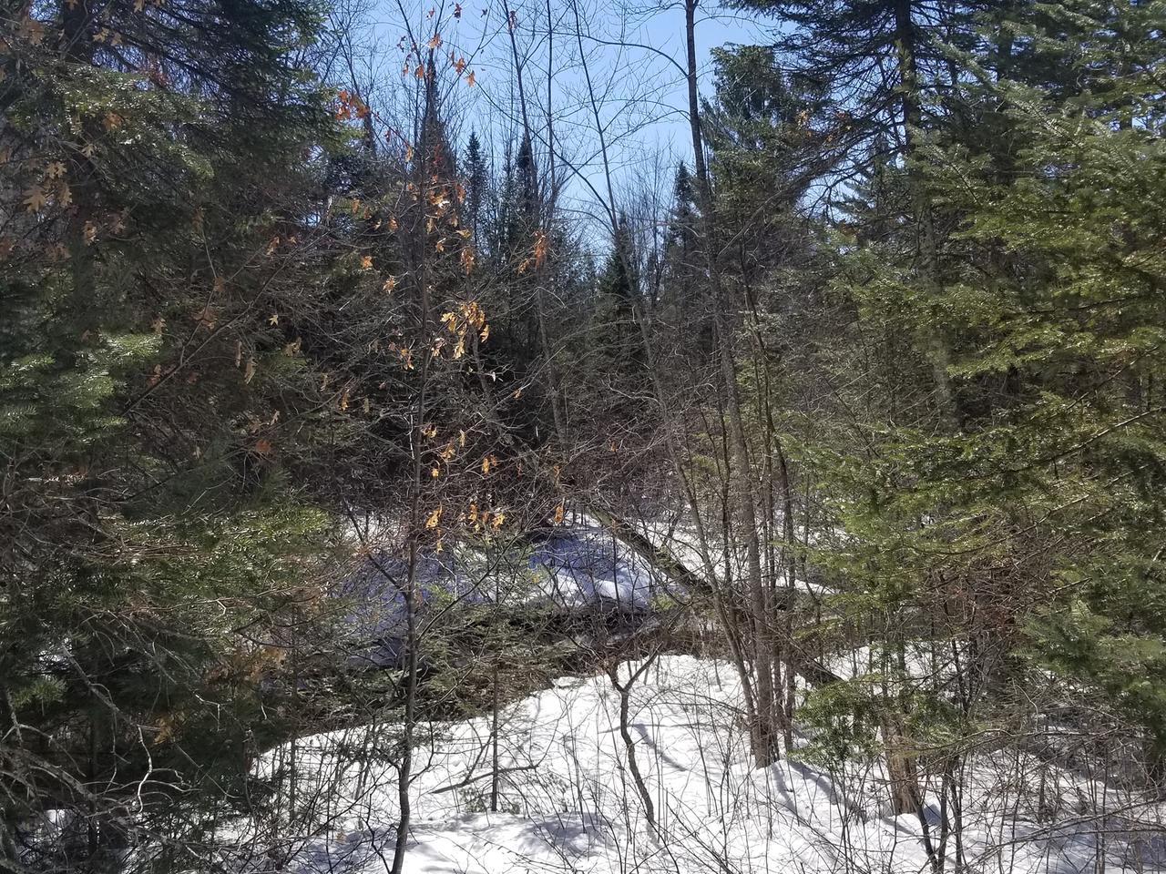 37-acres Dereg Road Tomahawk, WI 54487 - Photo 5 of 10 Gallery Image 5