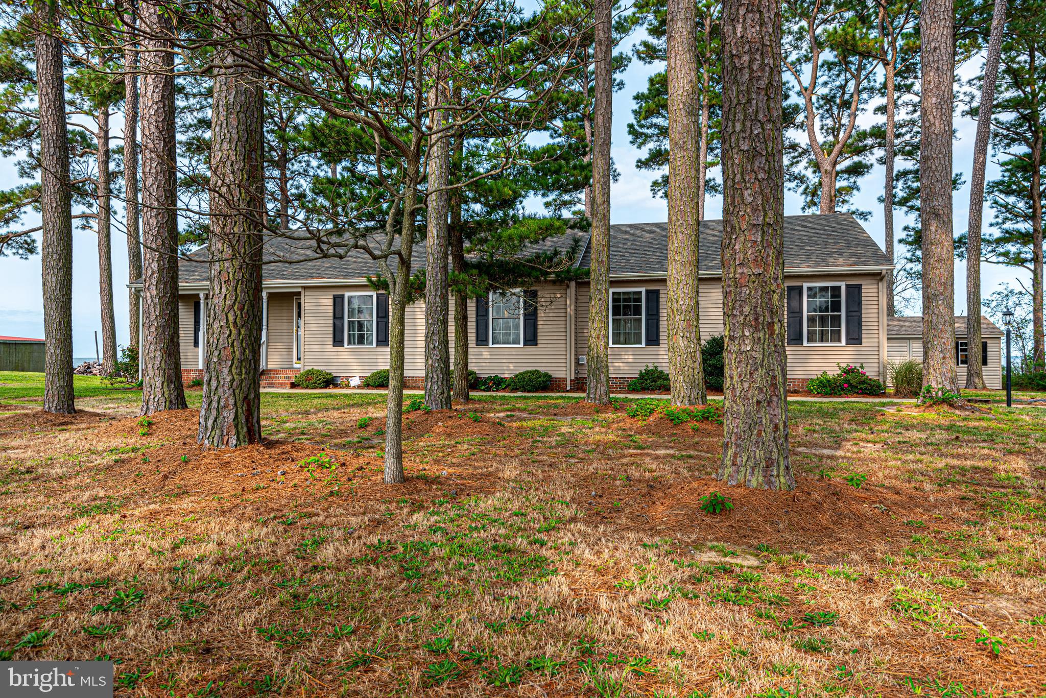 8000 Riverview Road Westover, MD 21871 - Photo 1 of 62 Gallery Image 1