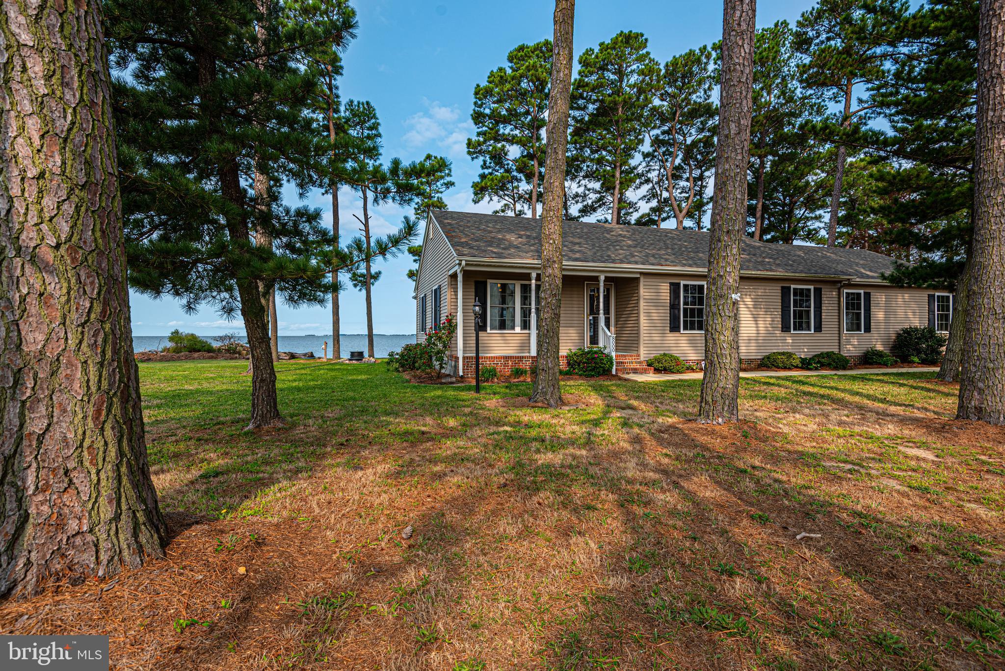 8000 Riverview Road Westover, MD 21871 - Photo 4 of 62 Gallery Image 4