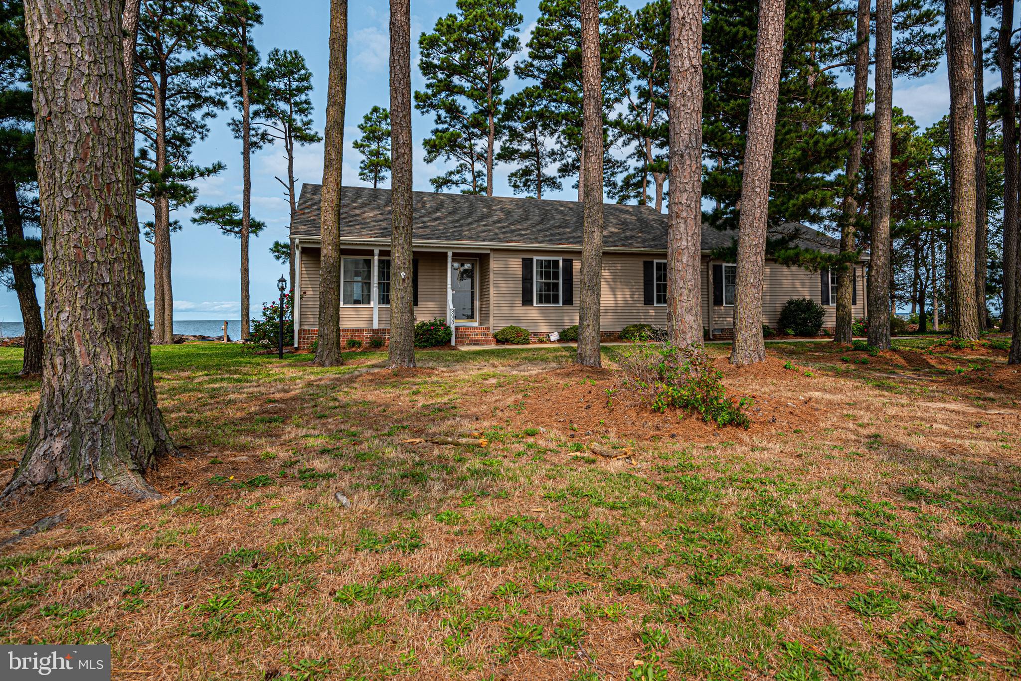 8000 Riverview Road Westover, MD 21871 - Photo 60 of 62 Gallery Image 60