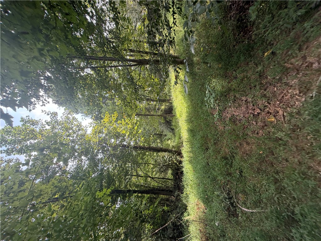 560 Return Church Road Seneca, SC 29678 - Photo 24 of 42 Gallery Image 24