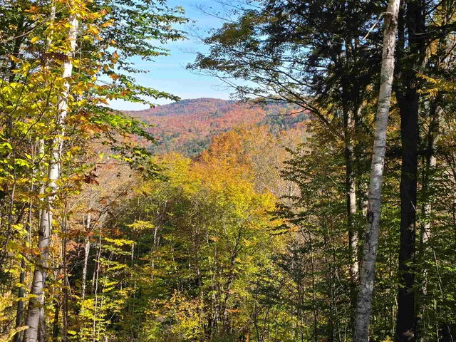 $110,000 | 0 West Road, Bethel, VT 05032