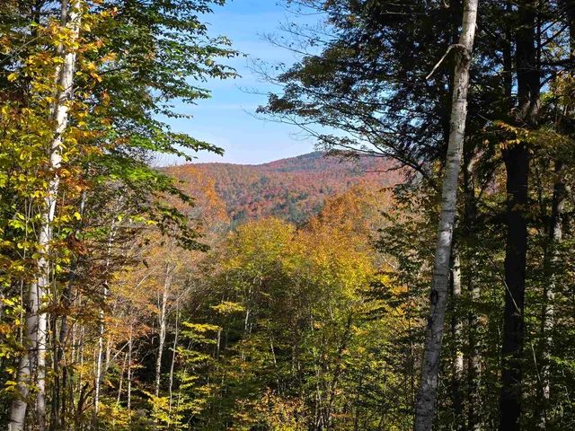 $110,000 | 0 West Road, Bethel, VT 05032