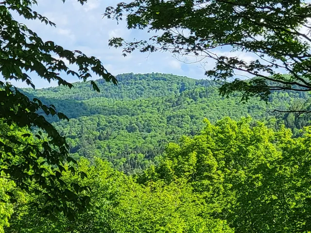 $110,000 | 0 West Road, Bethel, VT 05032