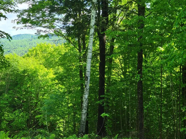 $110,000 | 0 West Road, Bethel, VT 05032