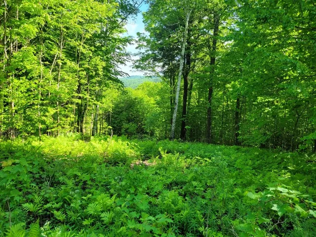 $110,000 | 0 West Road, Bethel, VT 05032