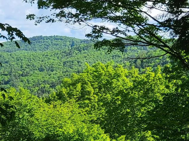 $110,000 | 0 West Road, Bethel, VT 05032